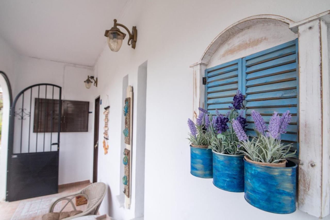 Just Near The Beach! Vintage Big Lovely House 卡莱维斯 外观 照片